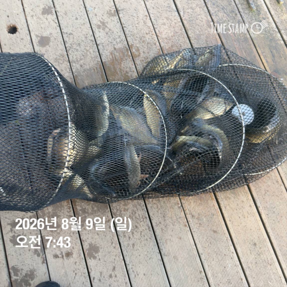 KakaoTalk_20260810_142204852_02.jpg
