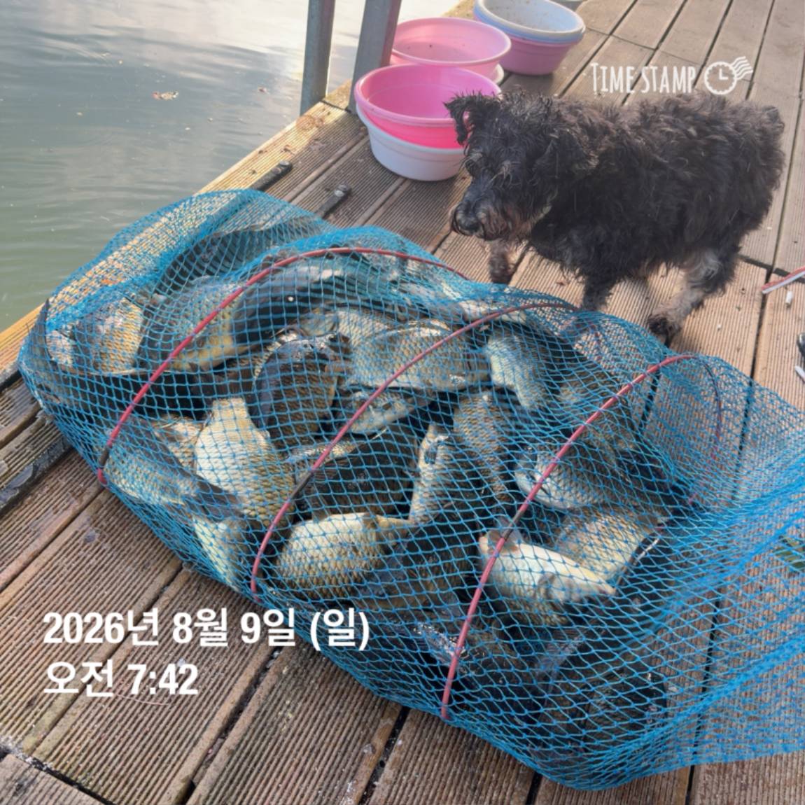 KakaoTalk_20260810_142204852_01.jpg