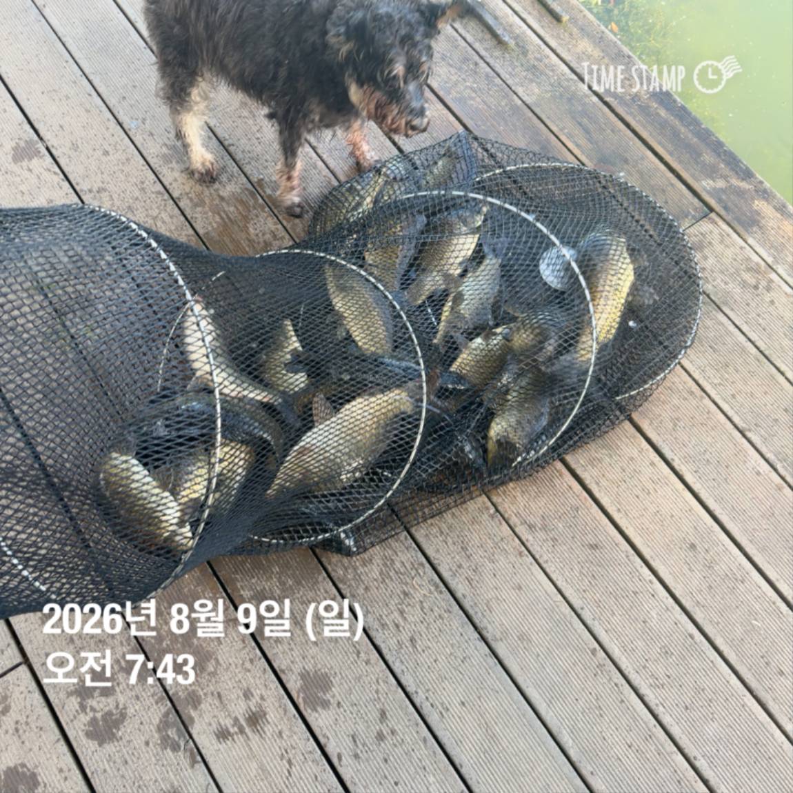 KakaoTalk_20260810_142204852_03.jpg