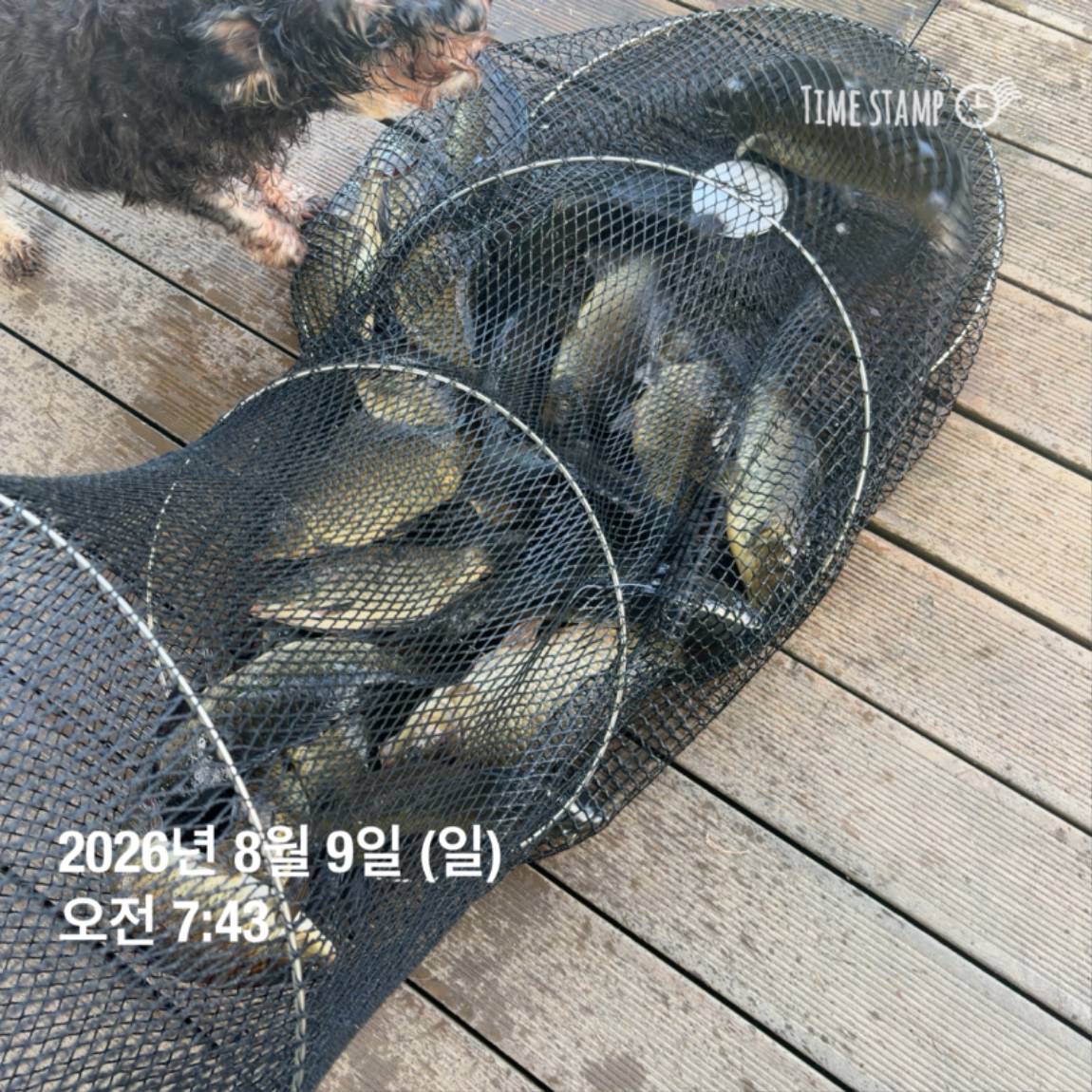 KakaoTalk_20260810_142204852_04.jpg