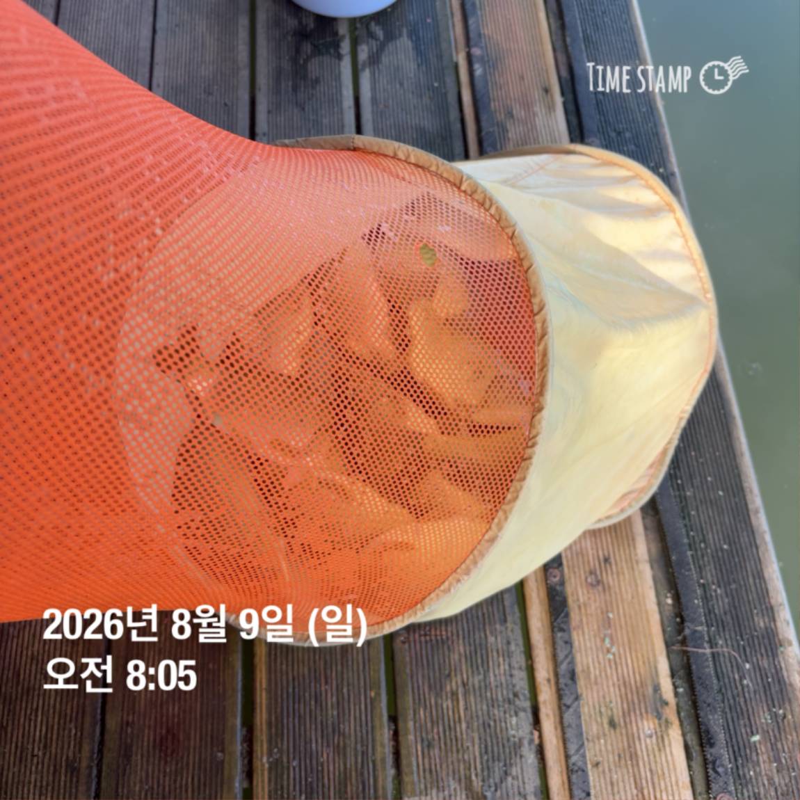 KakaoTalk_20260810_142204852_05.jpg