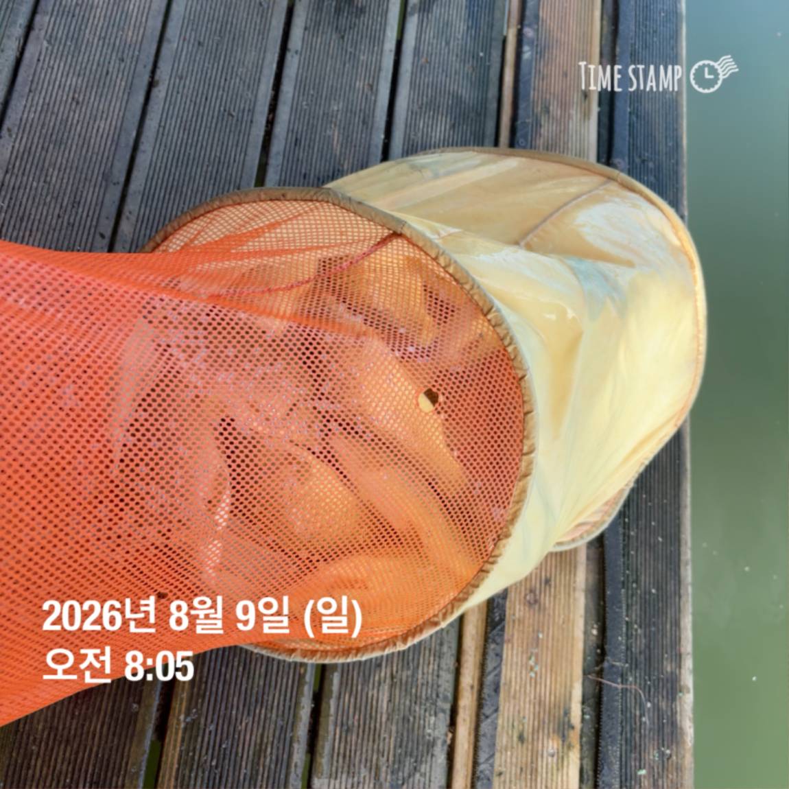 KakaoTalk_20260810_142204852_06.jpg