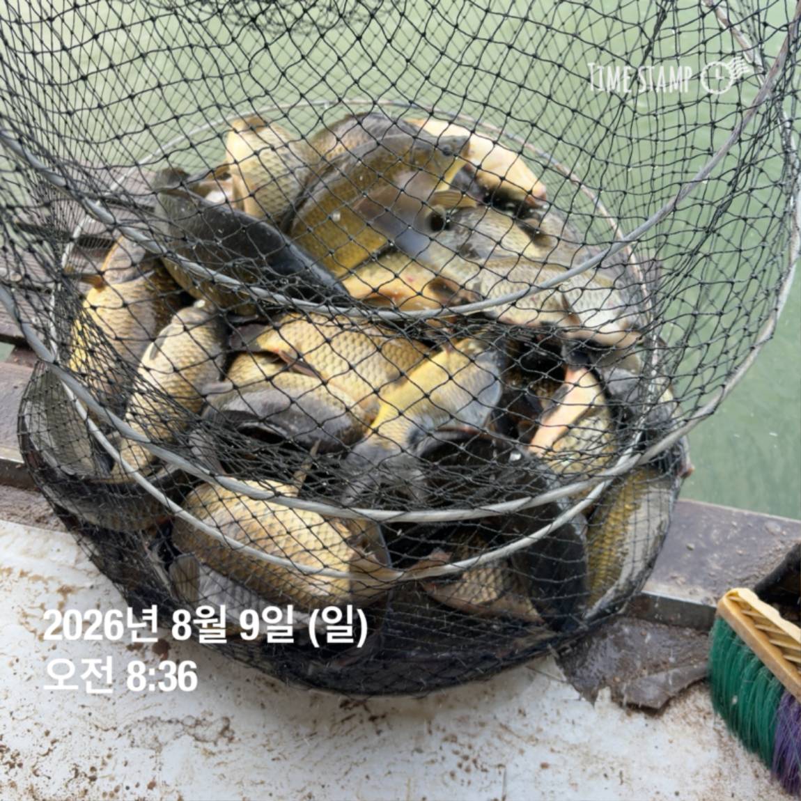 KakaoTalk_20260810_142204852_07.jpg