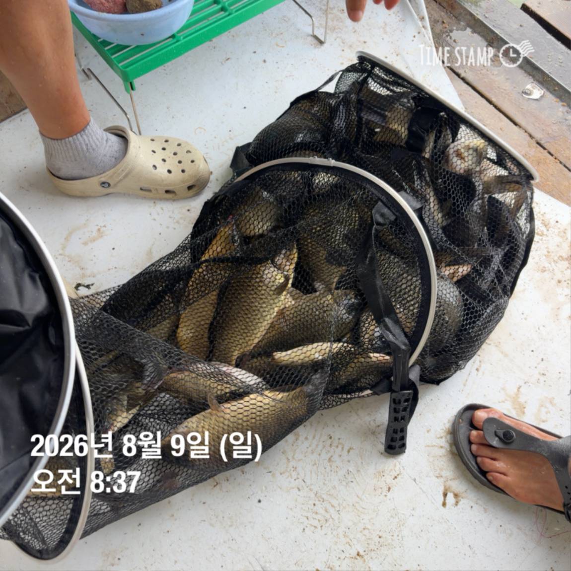 KakaoTalk_20260810_142204852_09.jpg