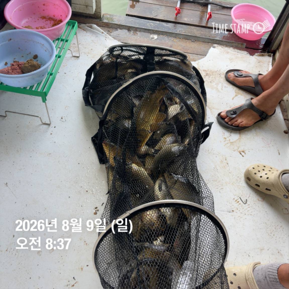 KakaoTalk_20260810_142204852_10.jpg