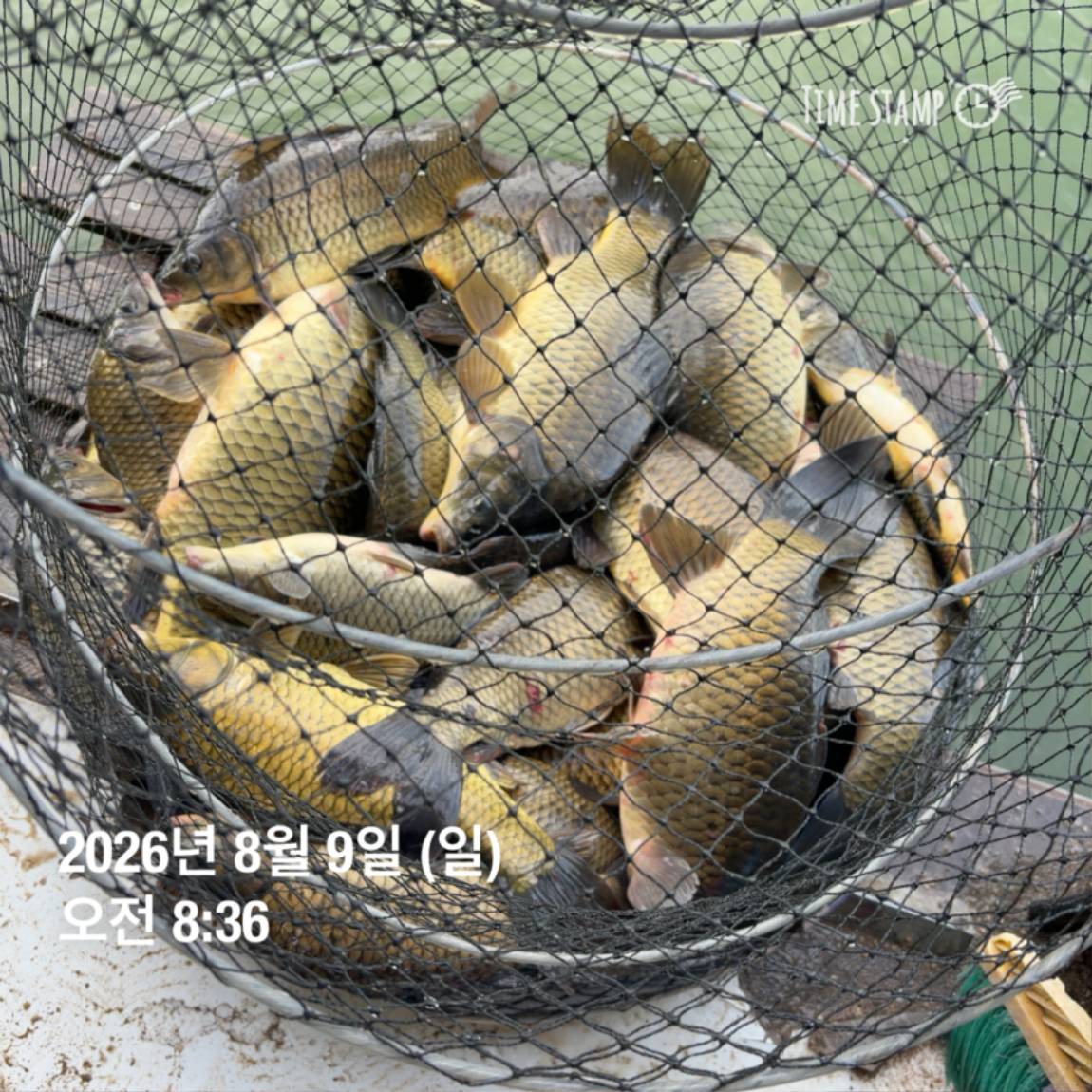 KakaoTalk_20260810_142204852_08.jpg