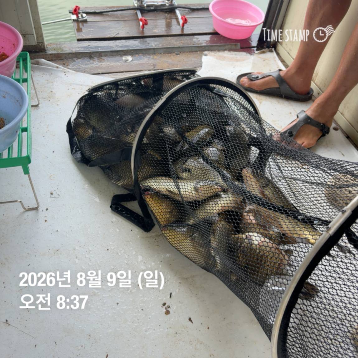 KakaoTalk_20260810_142204852_11.jpg