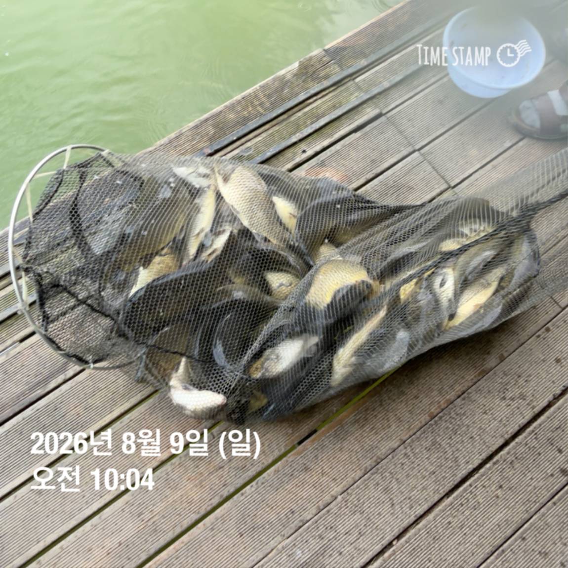 KakaoTalk_20260810_142204852_12.jpg