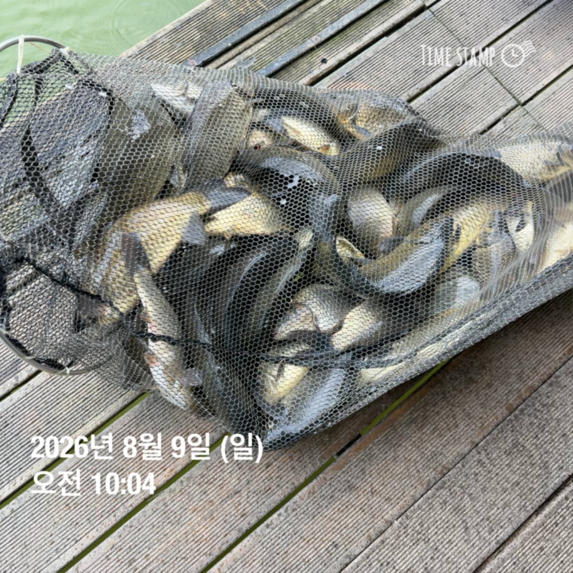 KakaoTalk_20260810_142204852_13.jpg