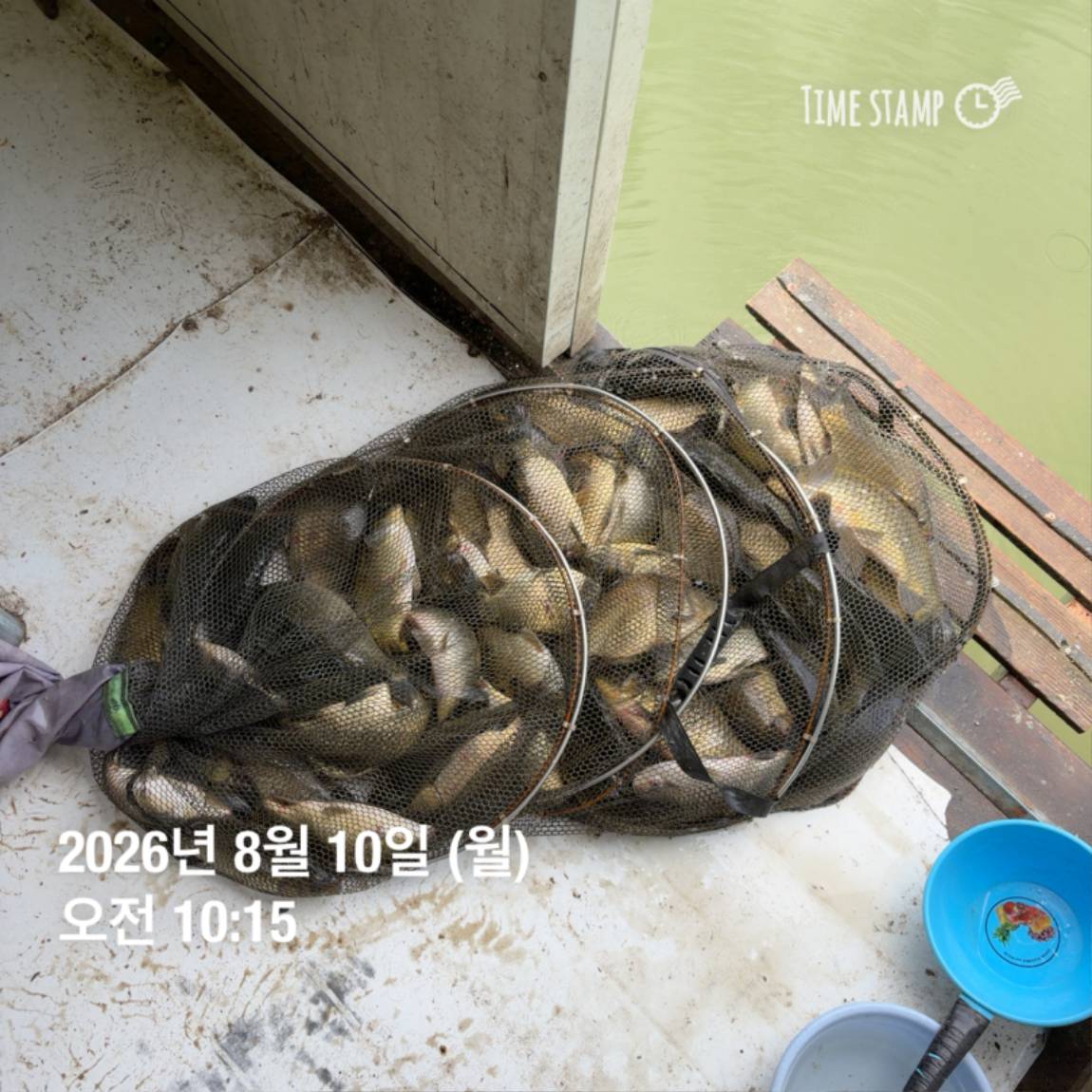 KakaoTalk_20260810_142204852_16.jpg