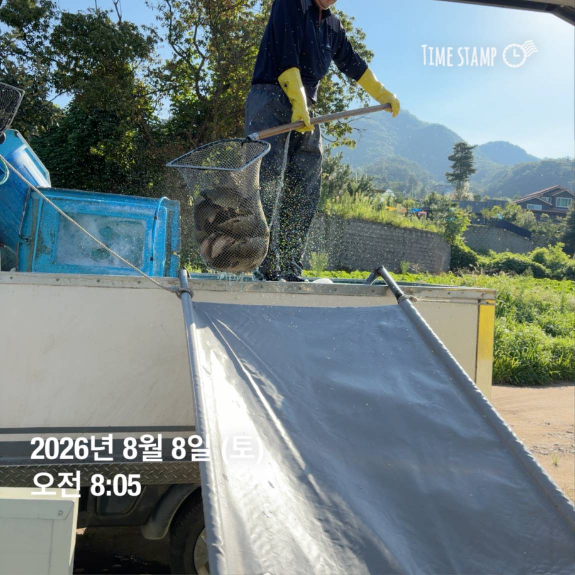 KakaoTalk_20260810_142204852_25.jpg