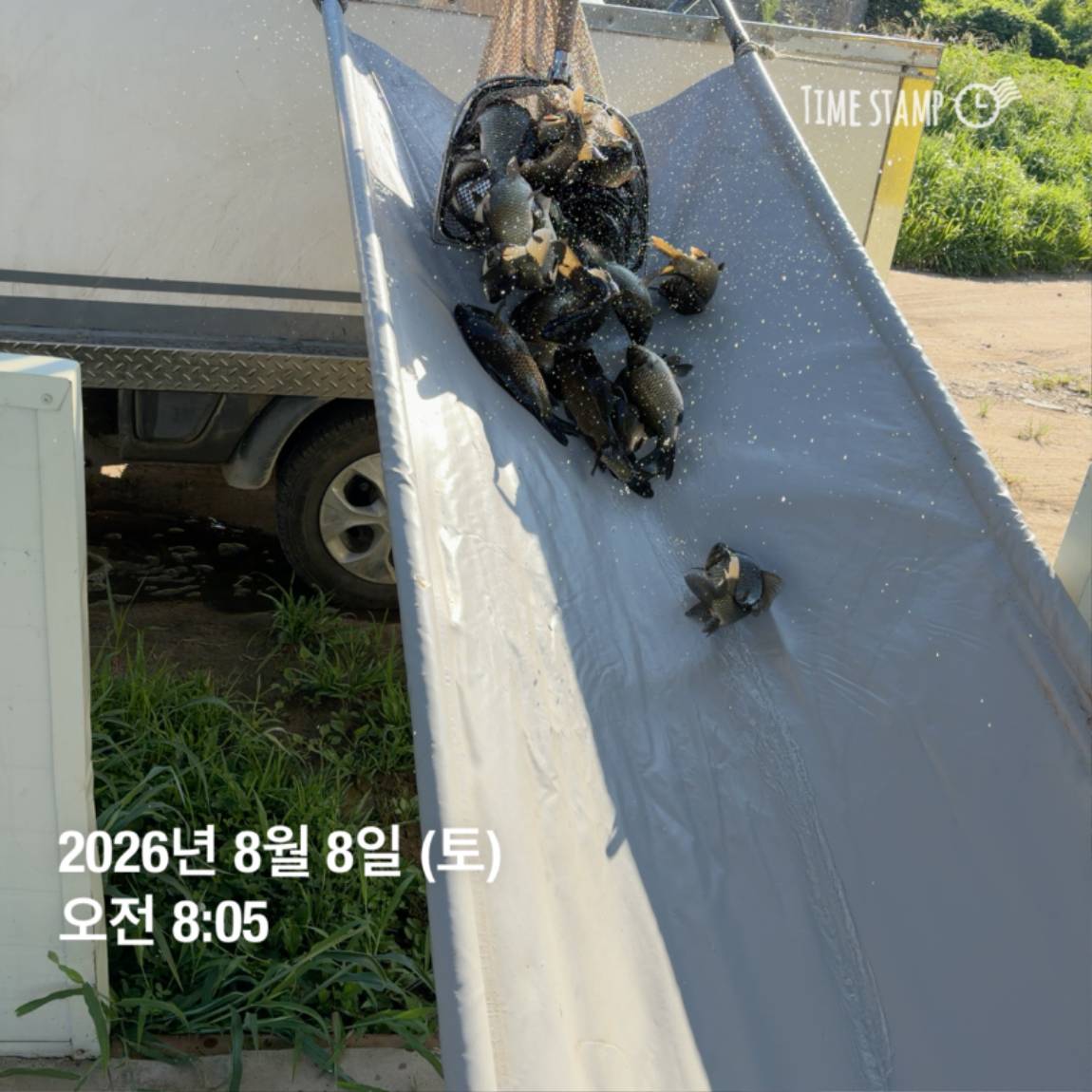 KakaoTalk_20260810_142204852_26.jpg