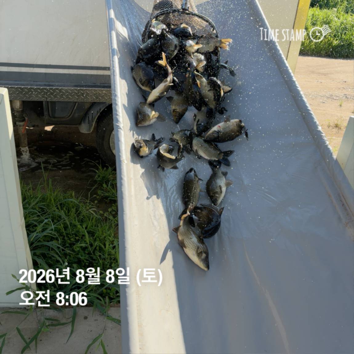 KakaoTalk_20260810_142204852_29.jpg