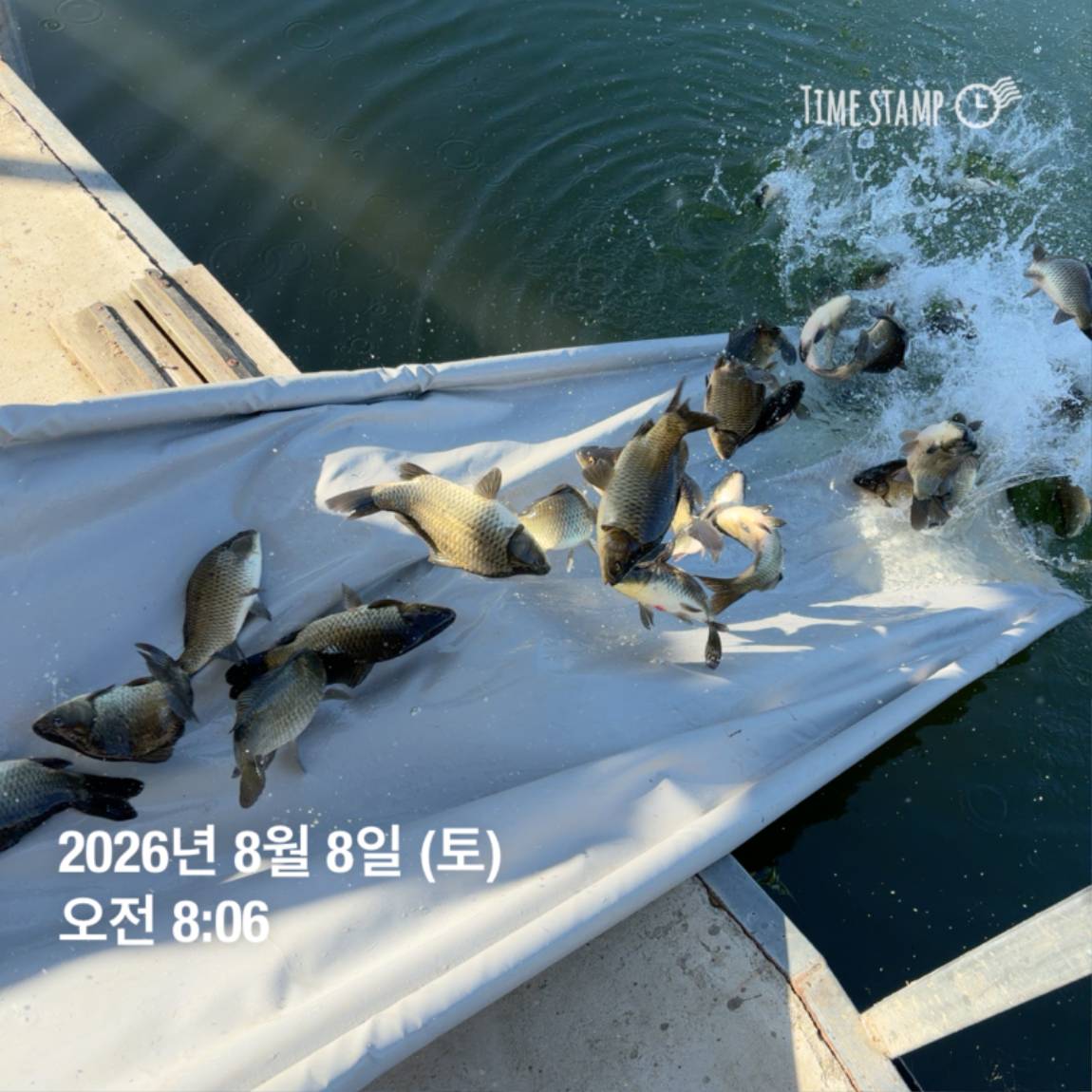 KakaoTalk_20260810_142216344.jpg