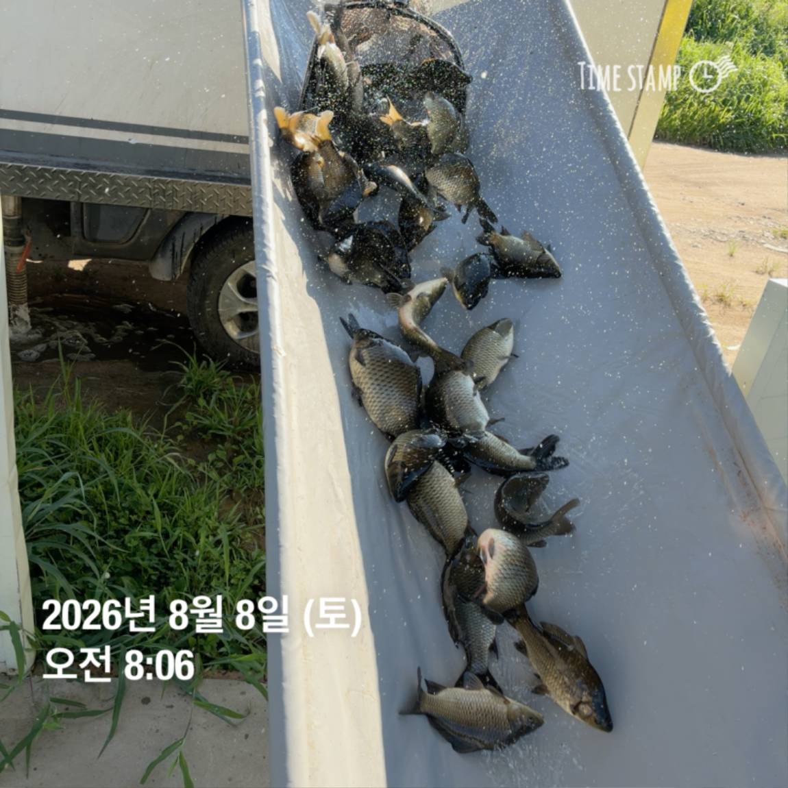 KakaoTalk_20260810_142216344_02.jpg