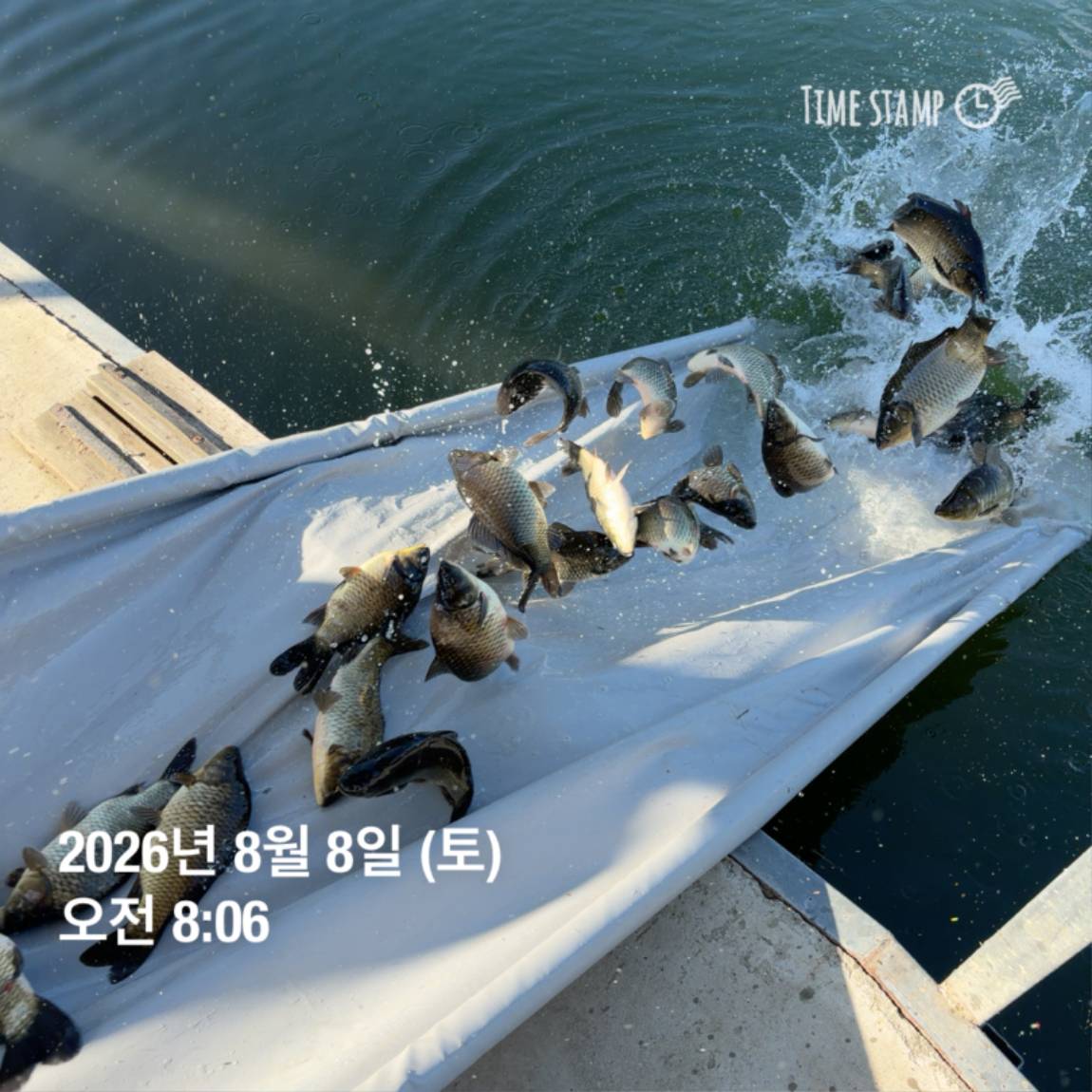 KakaoTalk_20260810_142216344_03.jpg