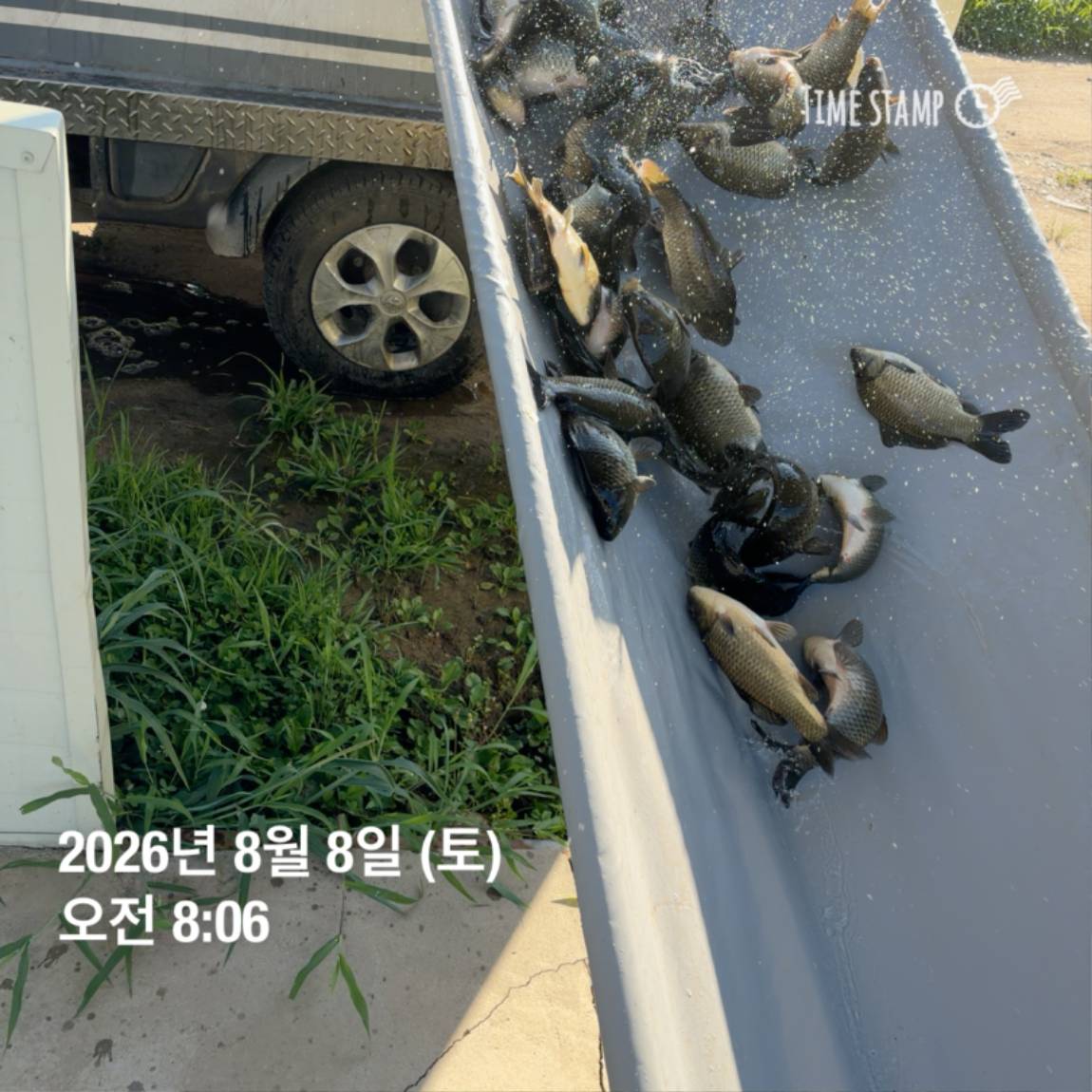KakaoTalk_20260810_142216344_05.jpg