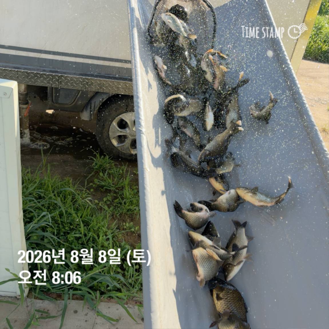 KakaoTalk_20260810_142216344_08.jpg