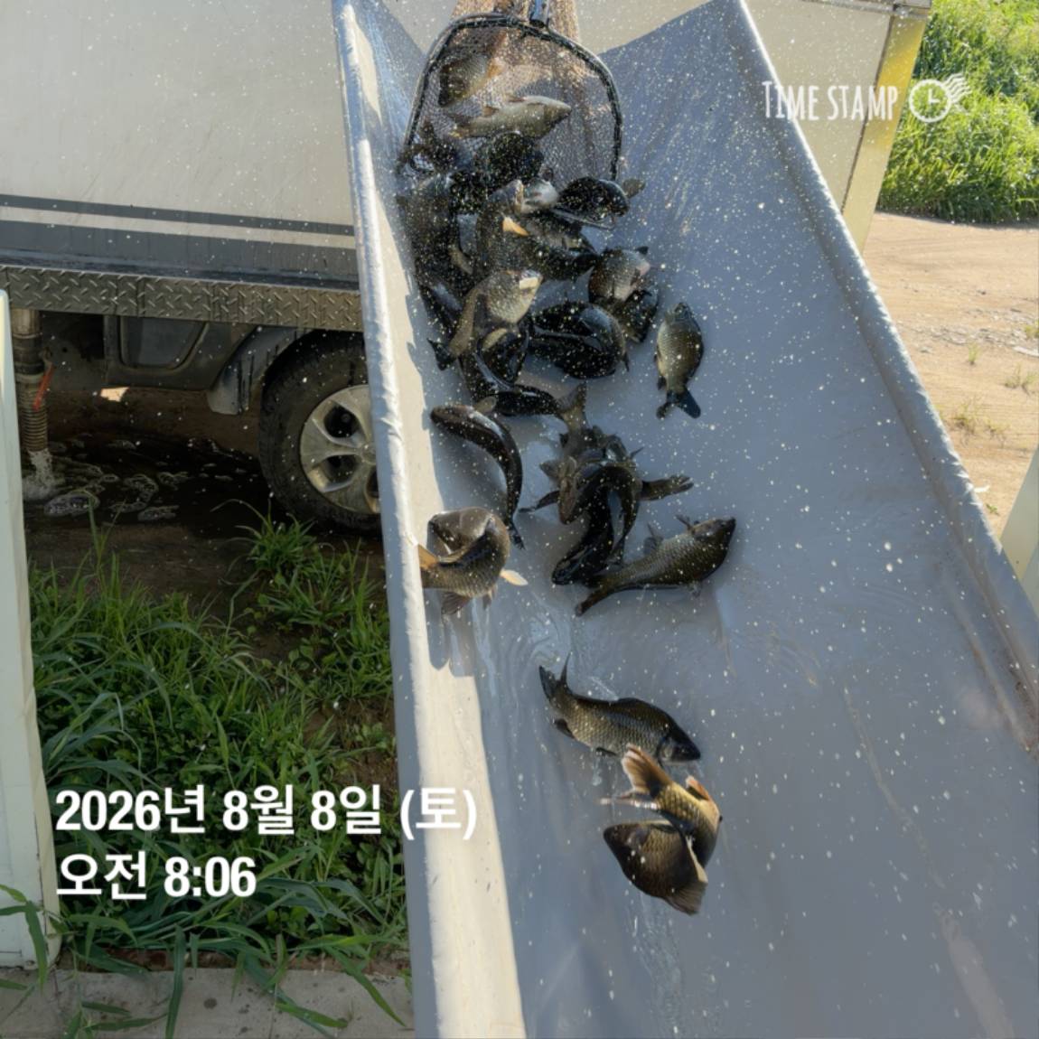 KakaoTalk_20260810_142216344_10.jpg