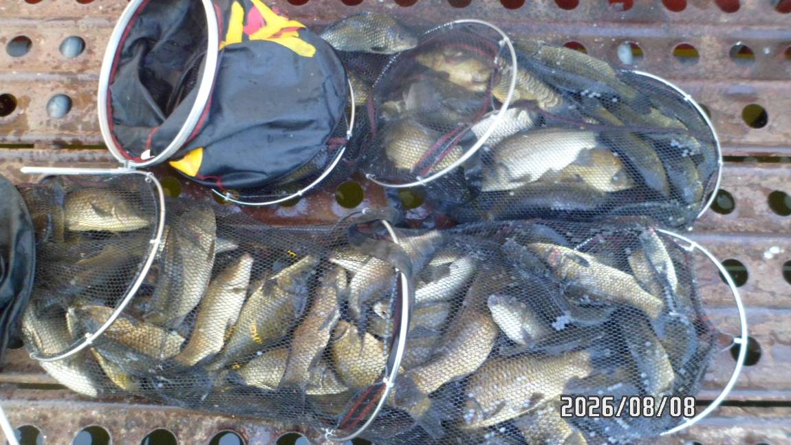 SAM_7114.JPG