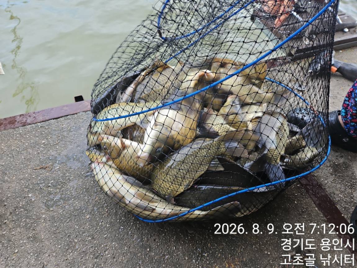 1786351807394.jpg