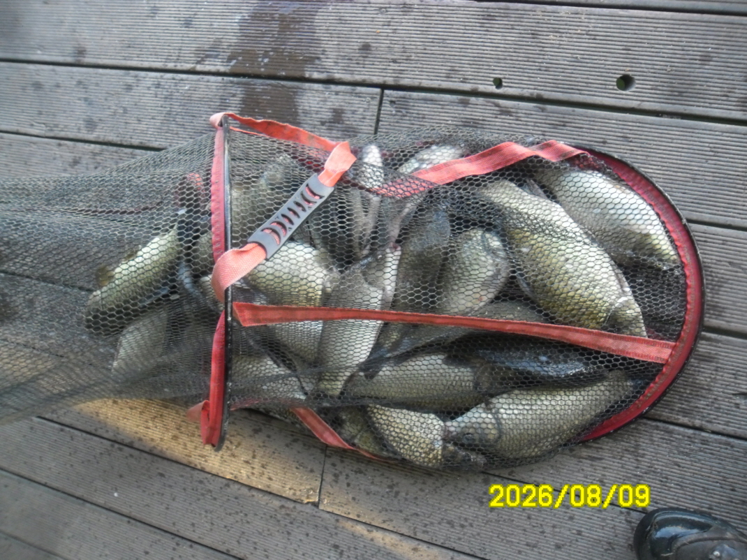 SAM_1939.JPG