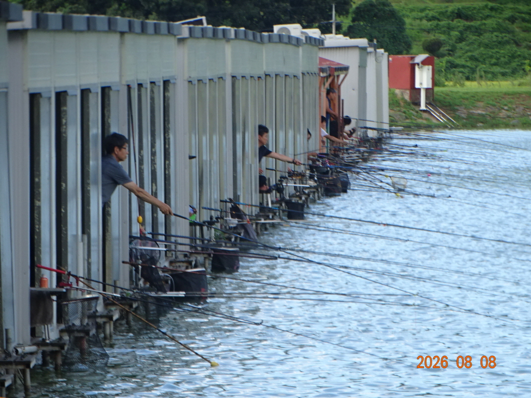 DSC07201.JPG