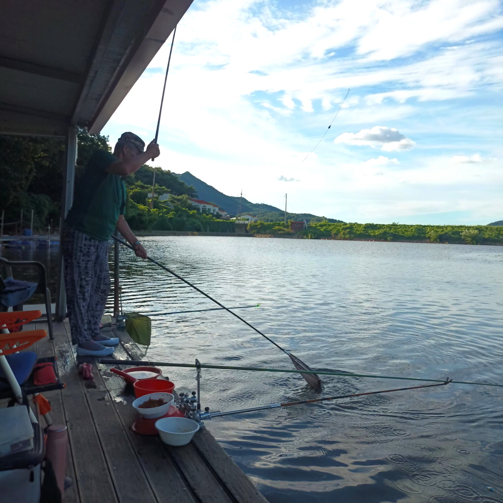 aKakaoTalk_20260810_054137520.jpg