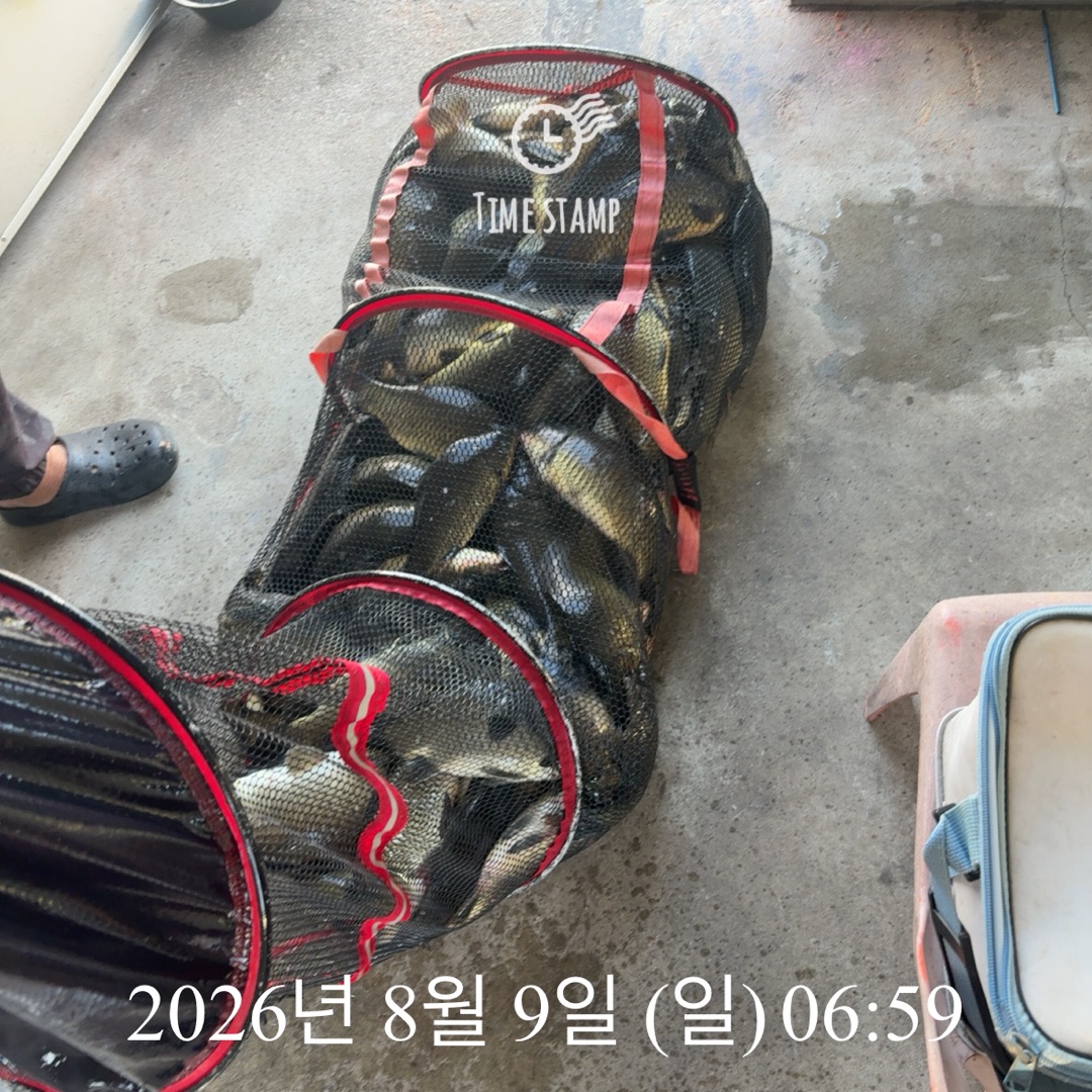 KakaoTalk_20260811_090032653_06.jpg