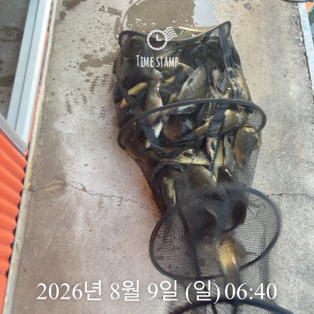 KakaoTalk_20260811_090032653_10.jpg