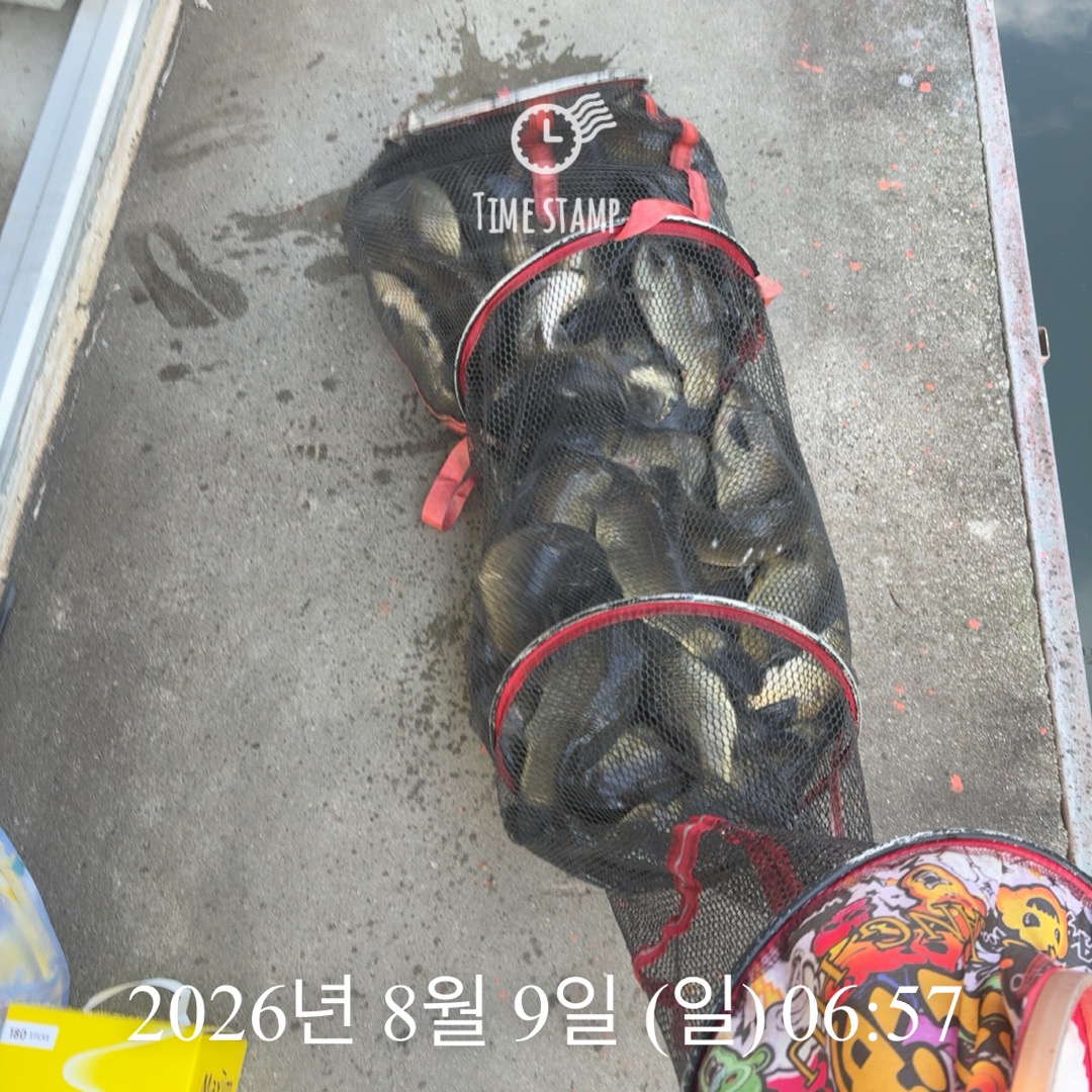 KakaoTalk_20260811_090032653_07.jpg