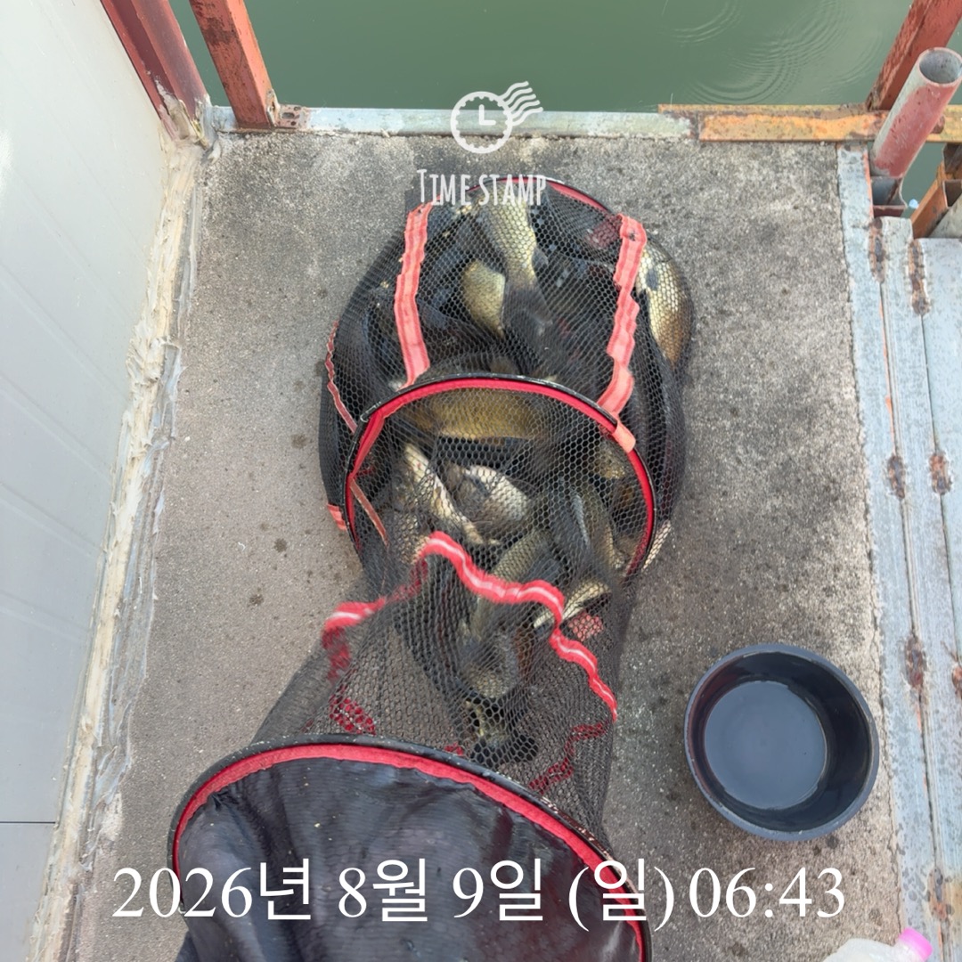 KakaoTalk_20260811_090032653_09.jpg