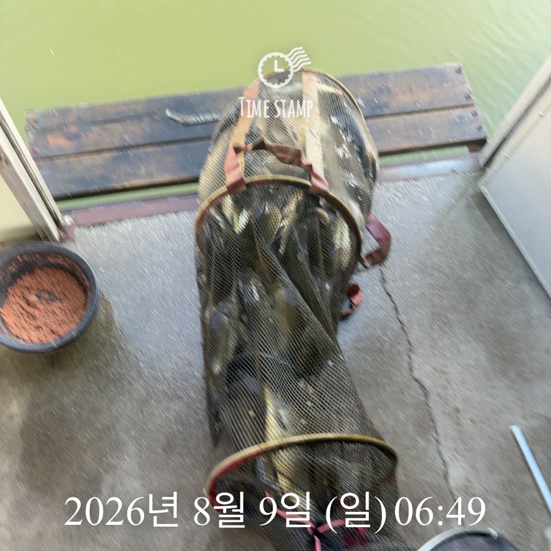 KakaoTalk_20260811_090032653_08.jpg