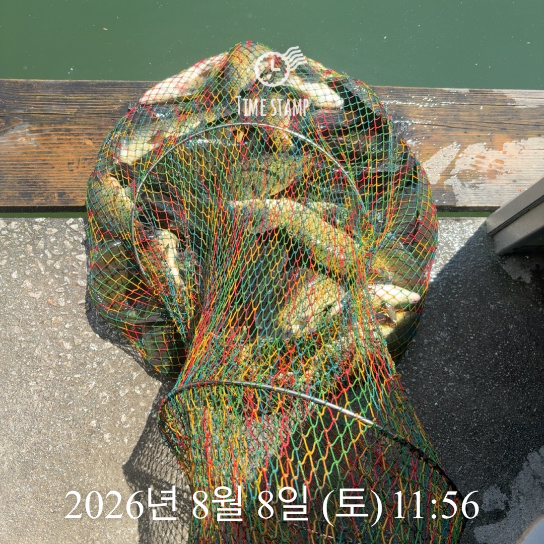KakaoTalk_20260811_090032653_14.jpg