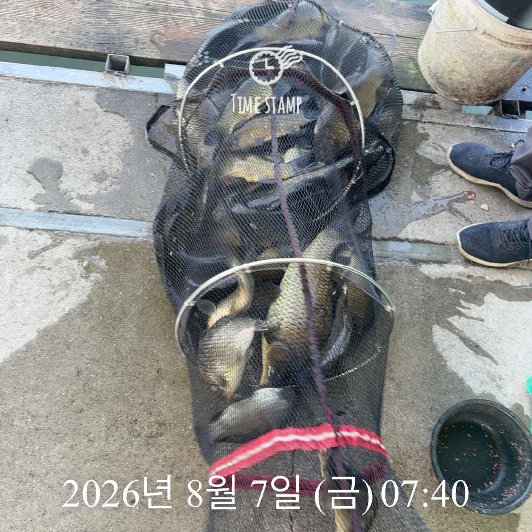 KakaoTalk_20260811_090032653_16.jpg