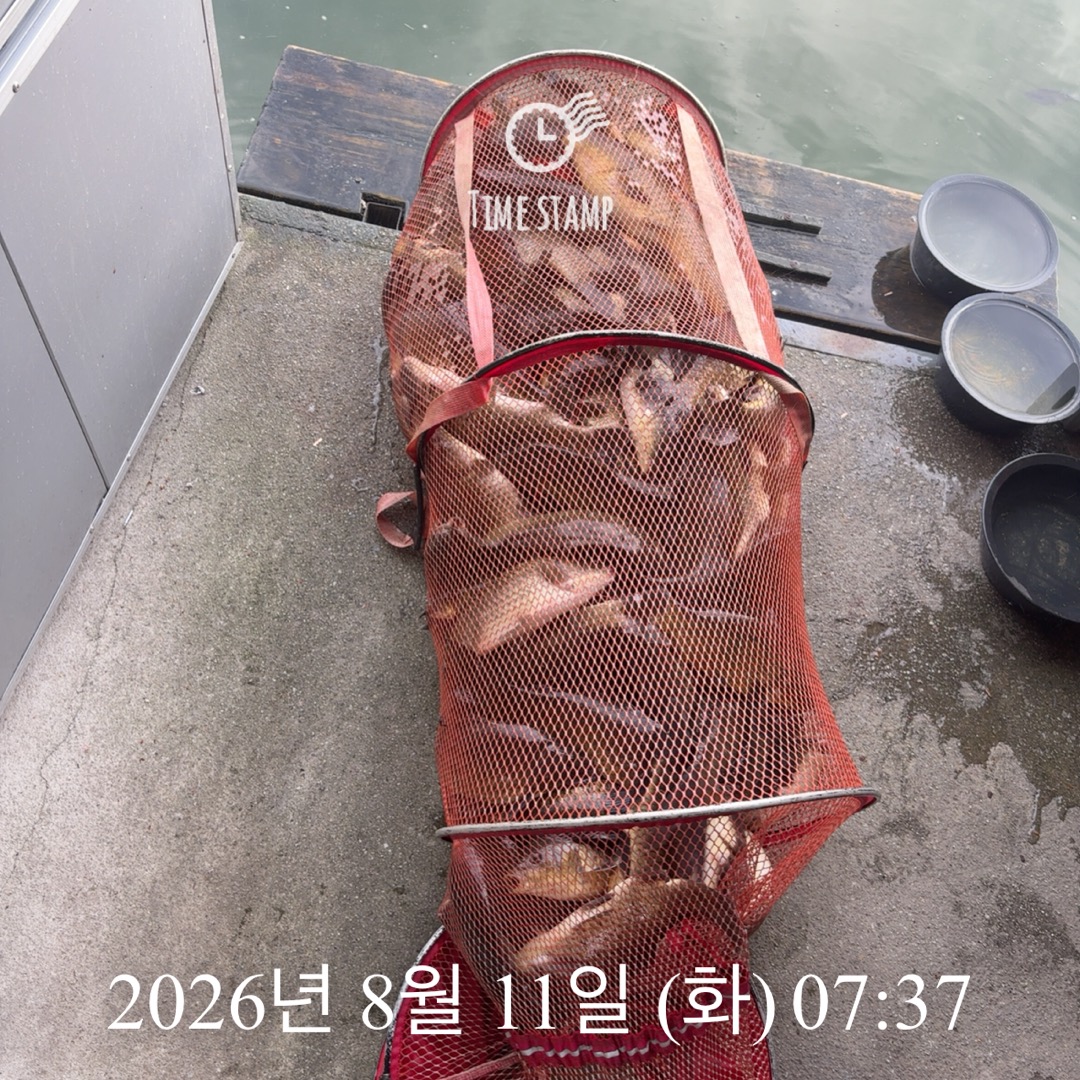 KakaoTalk_20260811_090032653.jpg