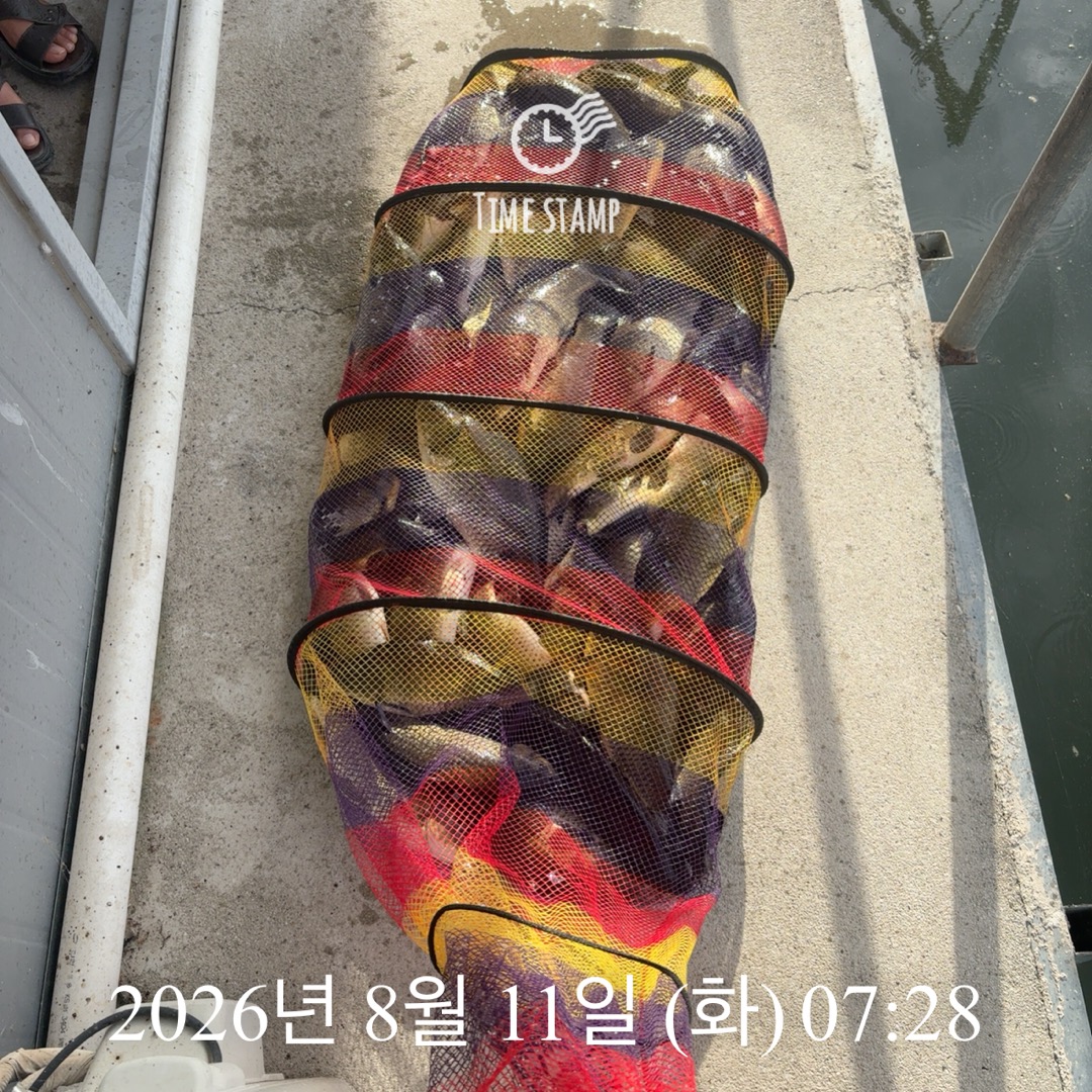KakaoTalk_20260811_090032653_01.jpg