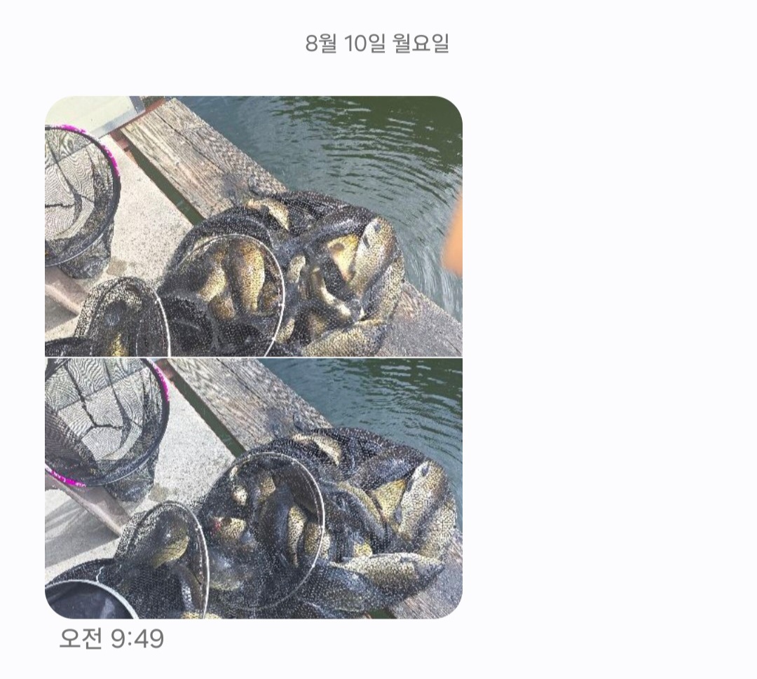 KakaoTalk_20260811_172424162.jpg
