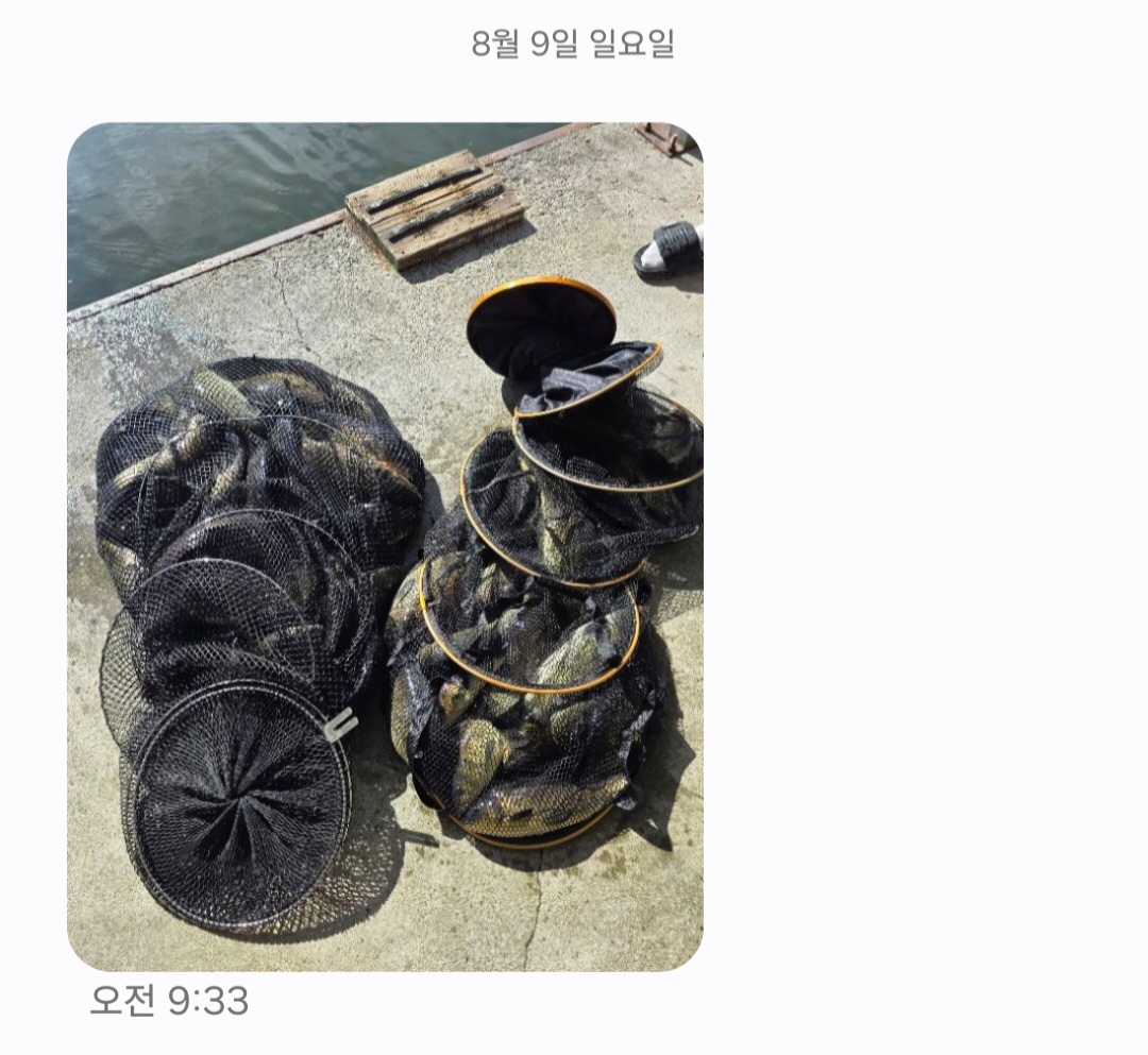 KakaoTalk_20260811_172424162_01.jpg