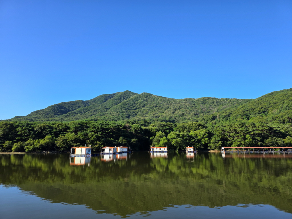 aKakaoTalk_20260812_074852942_10.jpg