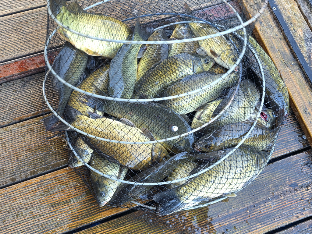aKakaoTalk_20260812_074852942_18.jpg