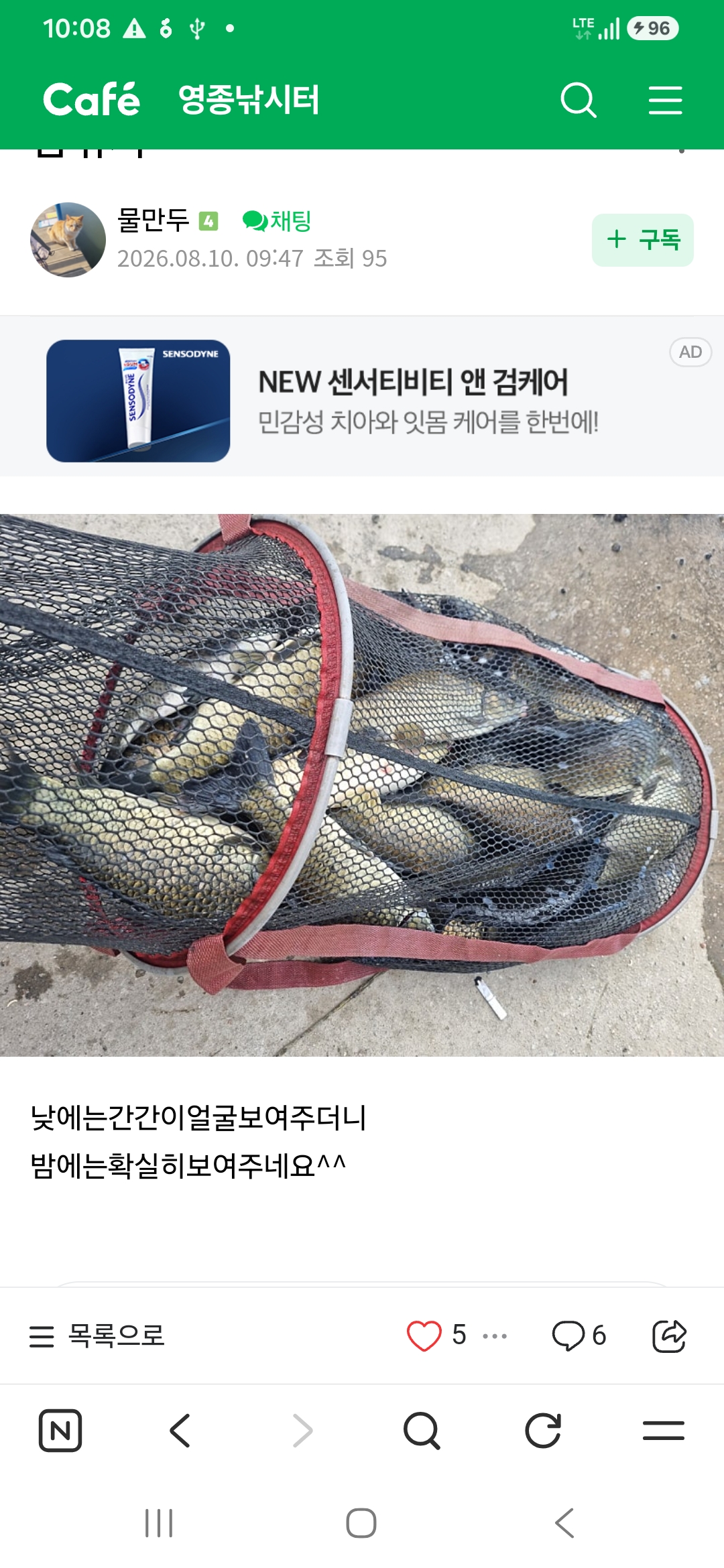 Screenshot_20260812_100822_NAVER.jpg