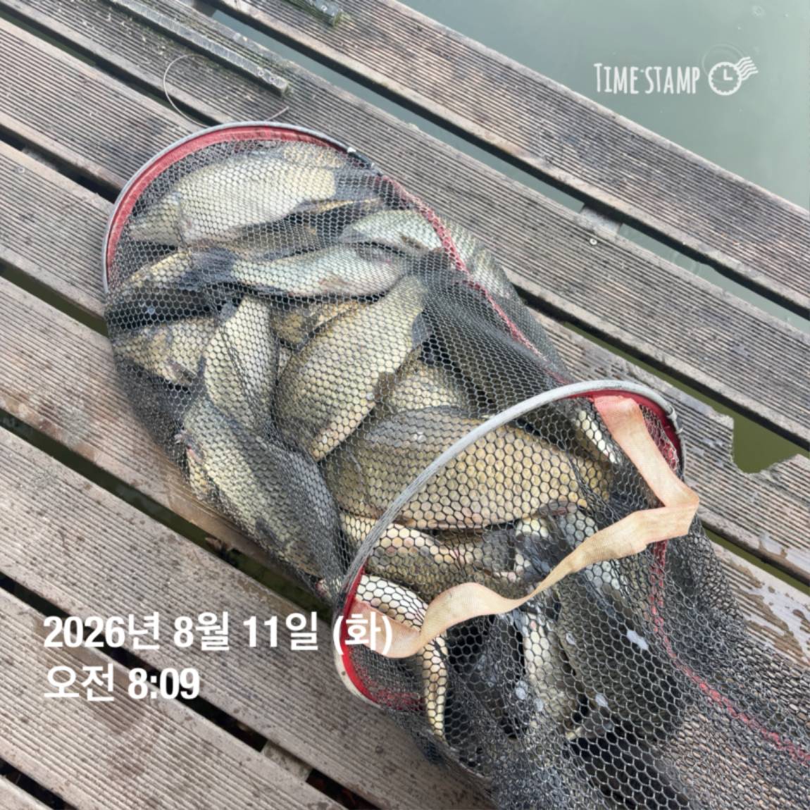 KakaoTalk_20260813_083502876_05.jpg