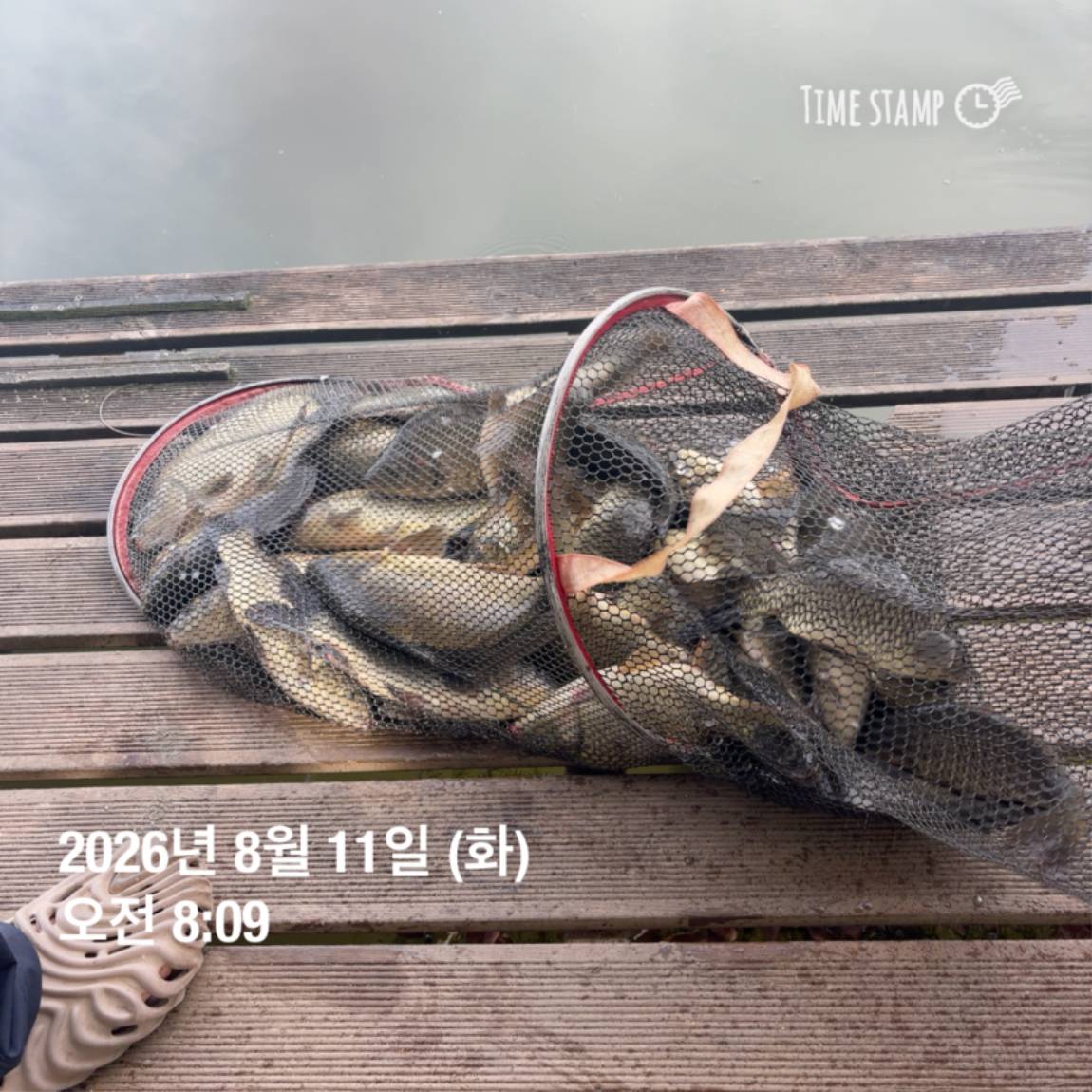 KakaoTalk_20260813_083502876_06.jpg