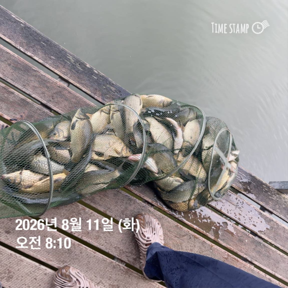 KakaoTalk_20260813_083502876_09.jpg