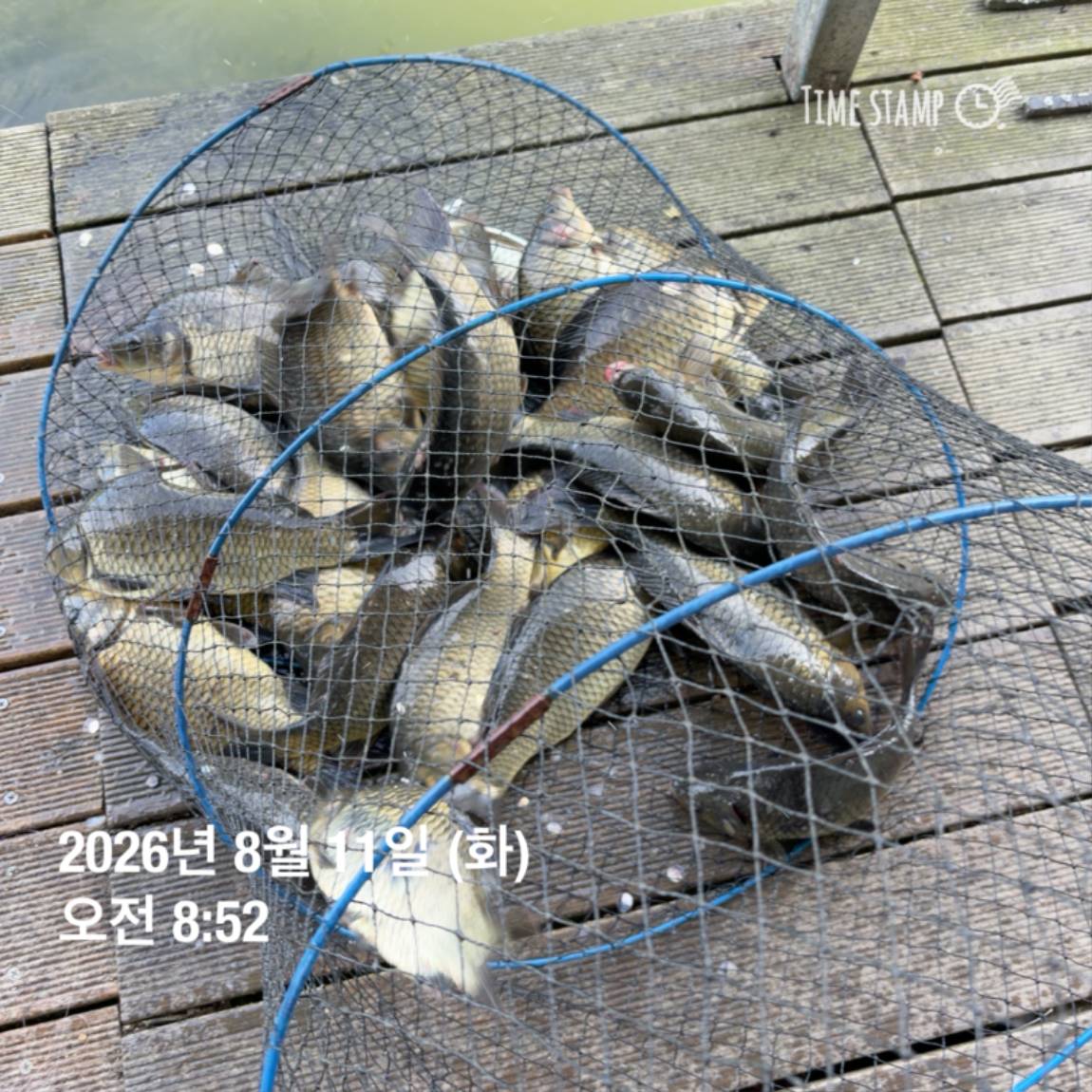 KakaoTalk_20260813_083502876_11.jpg
