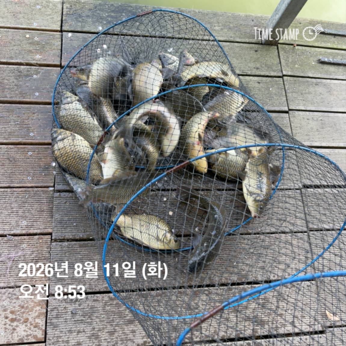 KakaoTalk_20260813_083502876_12.jpg