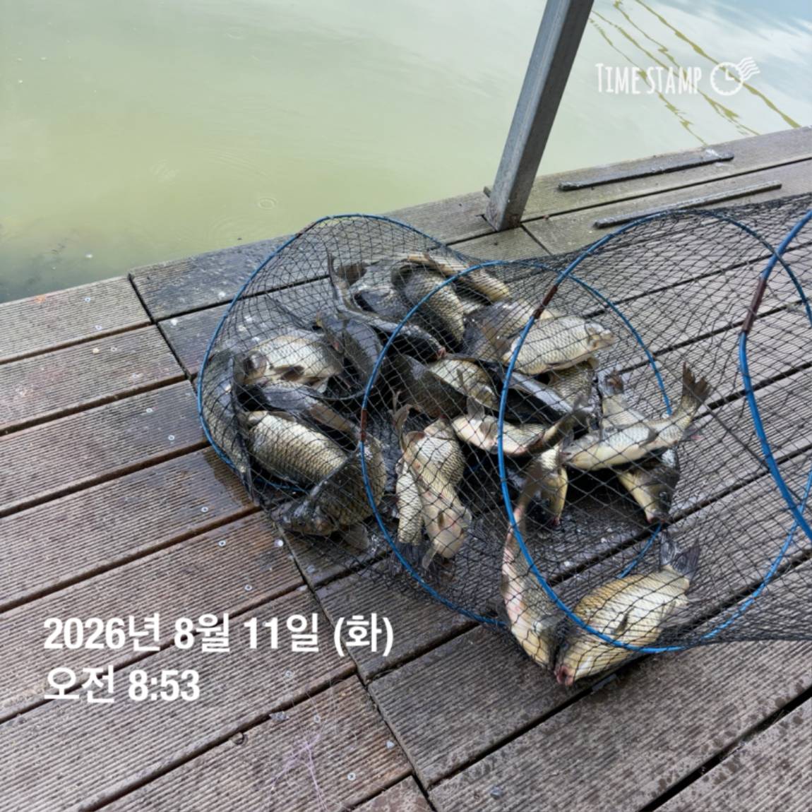 KakaoTalk_20260813_083502876_13.jpg