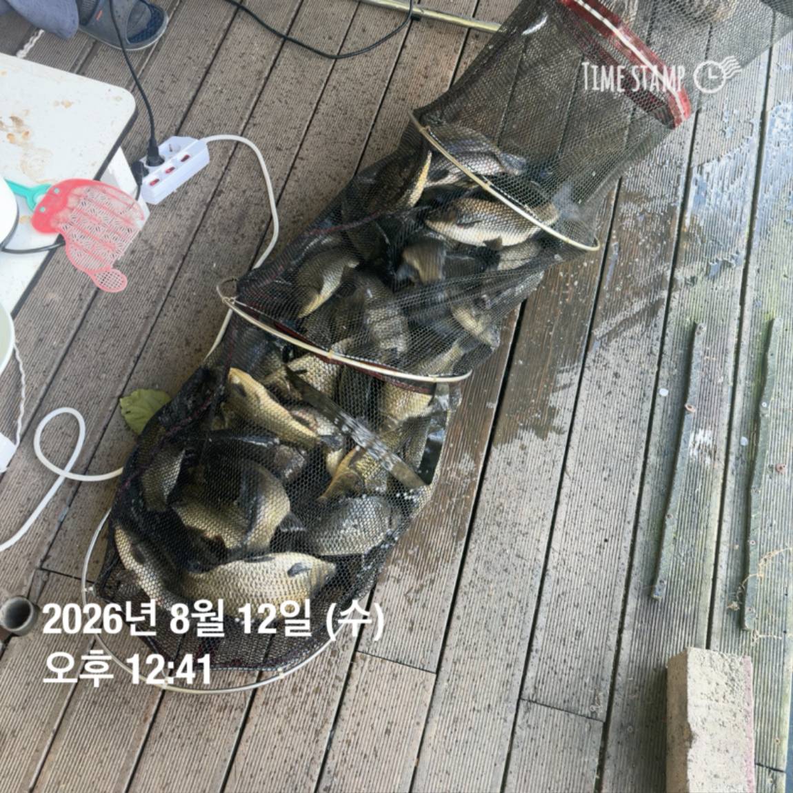 KakaoTalk_20260813_083502876_14.jpg