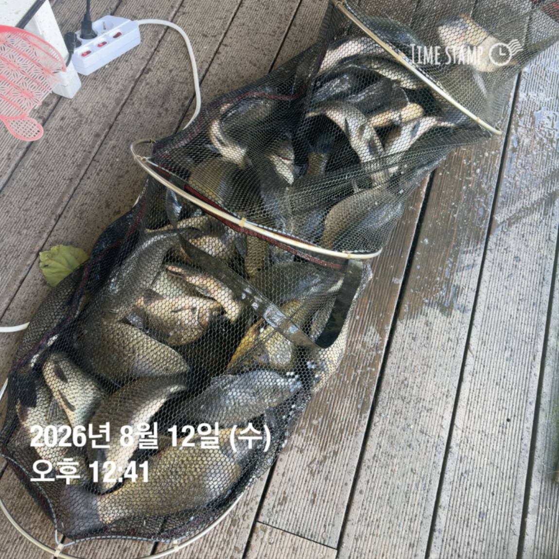 KakaoTalk_20260813_083502876_15.jpg
